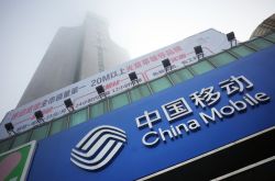 [详细教程]鄂尔多斯咨询热线招聘信息_哔哩哔哩